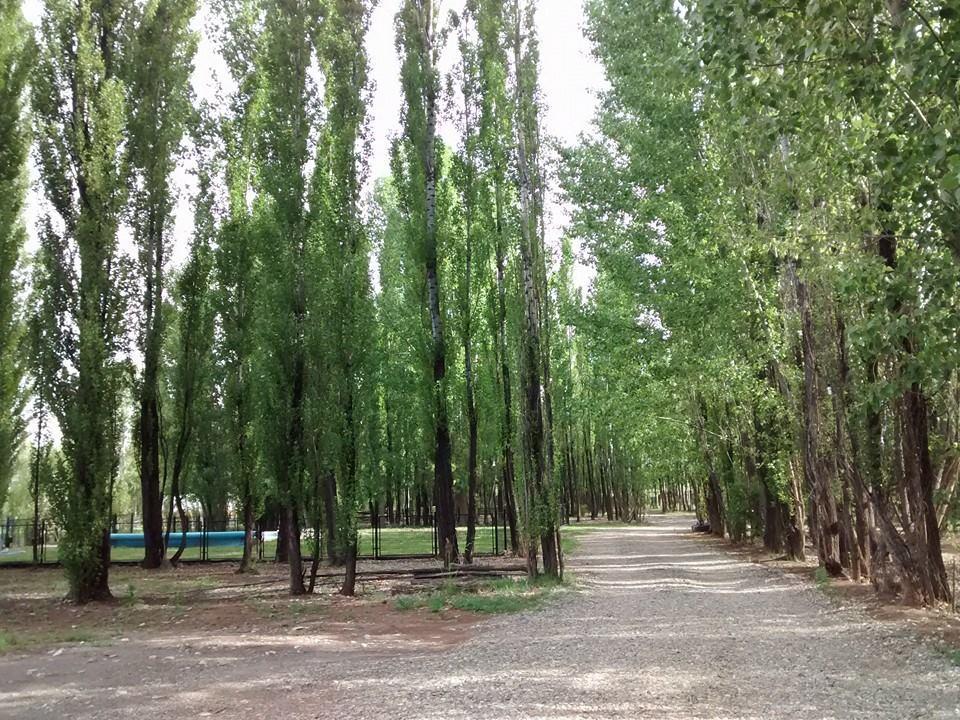 Terrazas En El Bosque Cabanas Malargüe Exterior foto