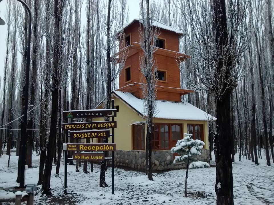 Terrazas En El Bosque Cabanas Malargüe Exterior foto